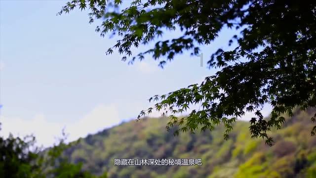 你好邻居